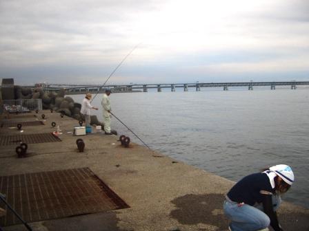 マリンコンパニオンブログ 大阪湾波止釣り調査 のつもりがタコだらけ